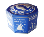 U5312H4 Biscuits Cookie Tin