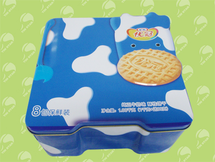 Irregular Tin U8963